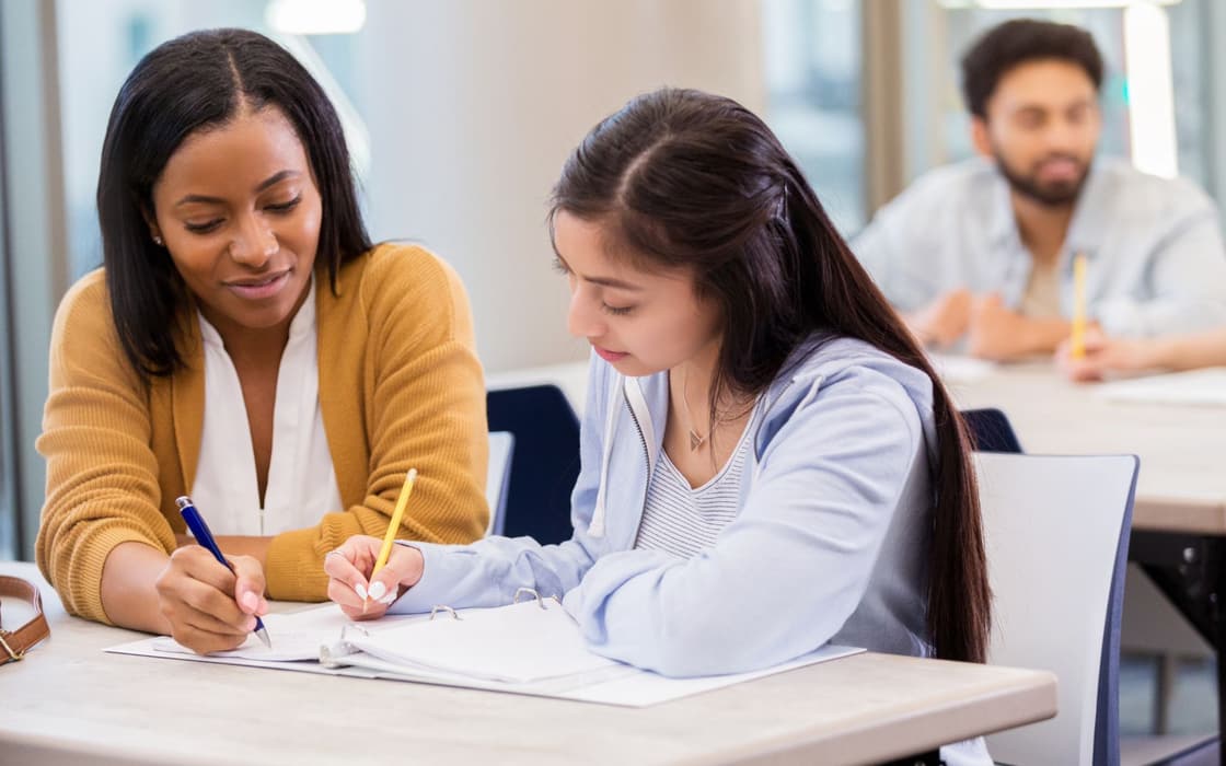 Private tutor guiding a student through binder notes